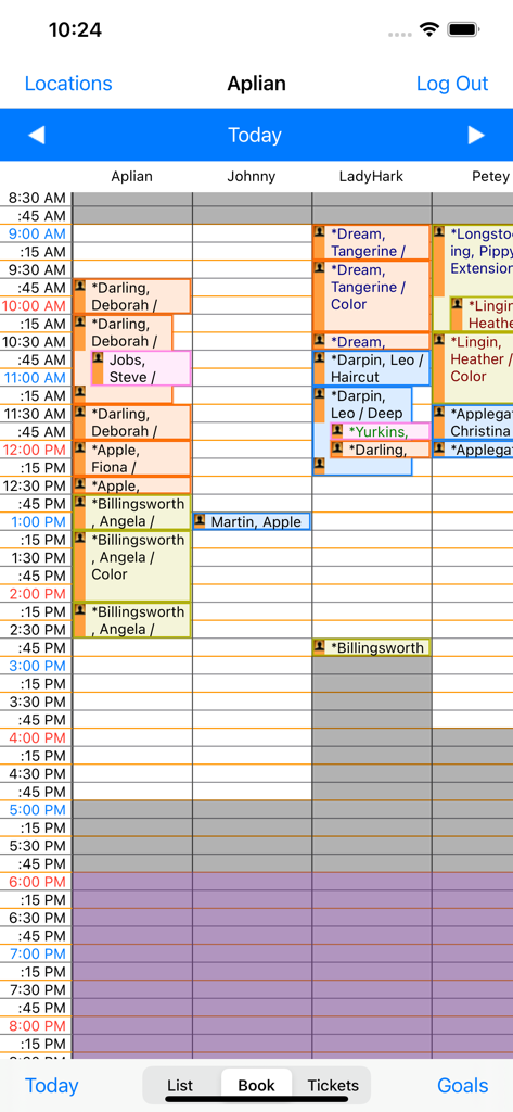 STX mobile app graphical daily appointment book view for salon staff management