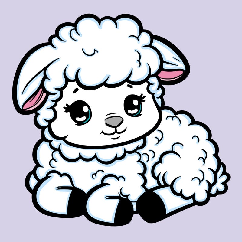 a baby sheep