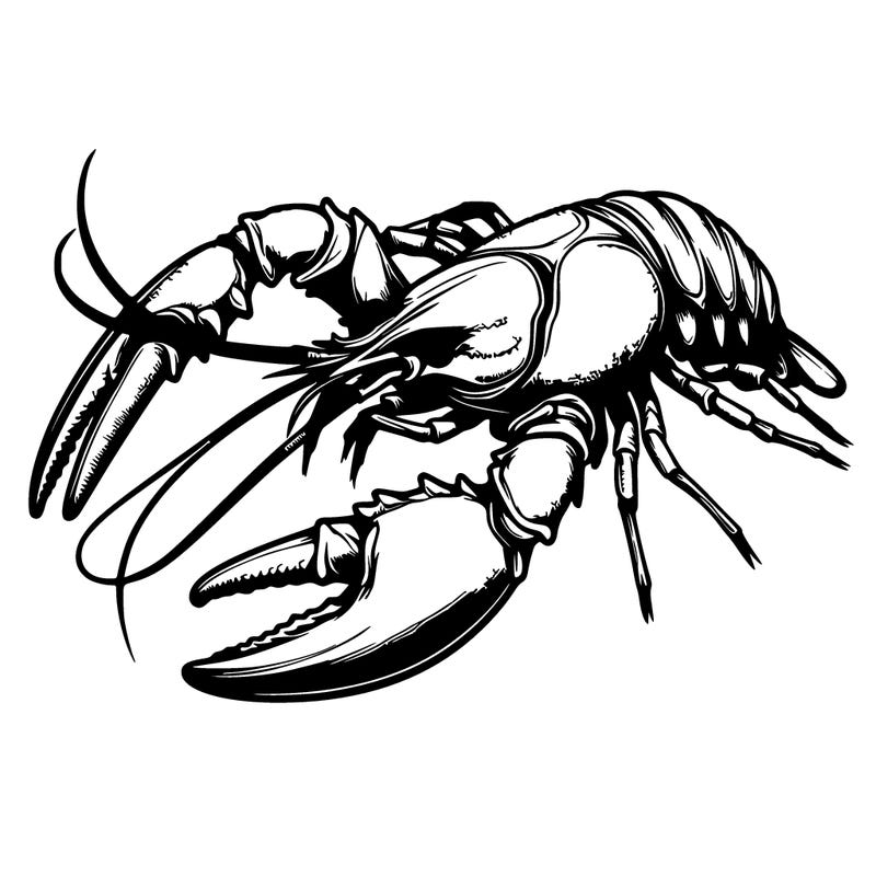 crayfish realistic