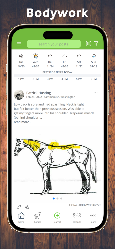 Equestrian App - Equestrian App showing a horse bodywork log with anatomical diagram and ride times
