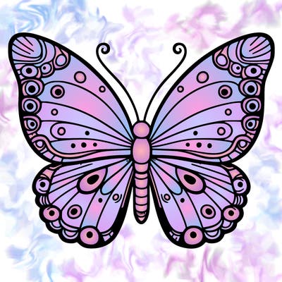 butterfly