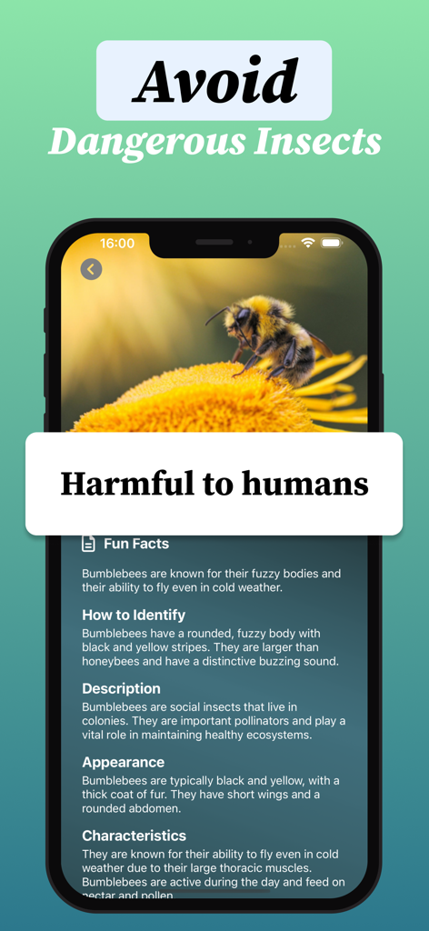Mobile app screen showing identification and safety information for a bumblebee