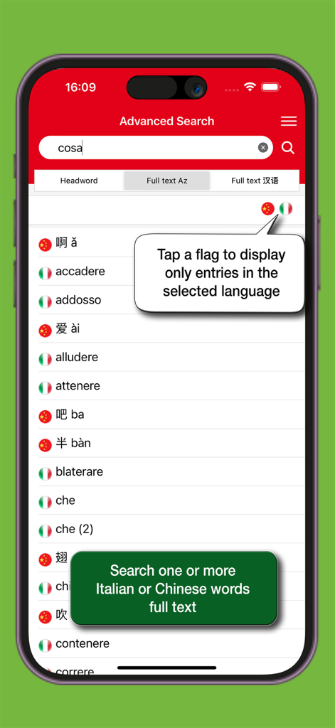 Interface de recherche avancée de l'application Dictionnaire Chinois-Italien Hoepli avec filtres linguistiques.