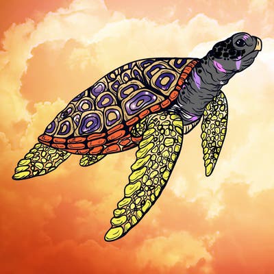 sea_life_03_new