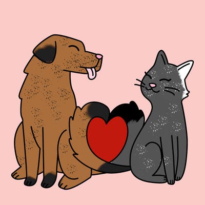 animals_22