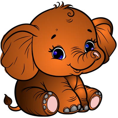 baby elephant