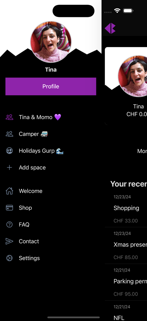 Couple-Budget - Interface de l'application Couple-Budget montrant le menu de navigation latéral avec le profil utilisateur et les espaces de dépenses partagées.