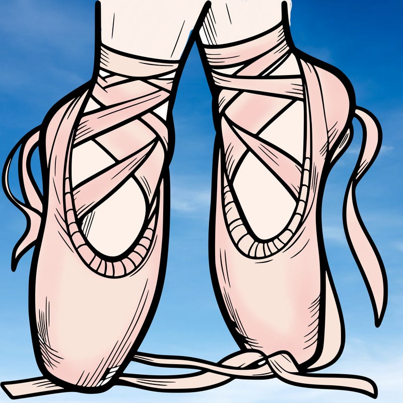 ballet shoes