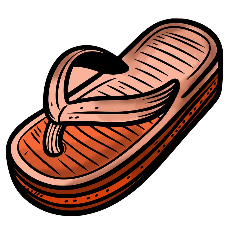 flip flop shoe