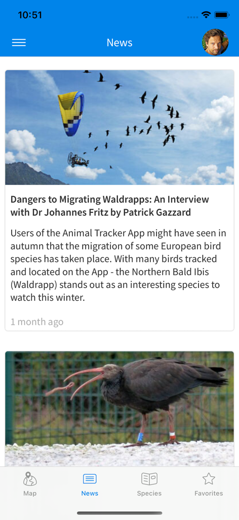 Animal Tracker - The news section of the Animal Tracker app featuring an article on the migration of Northern Bald Ibises with photos of birds and a research pilot.