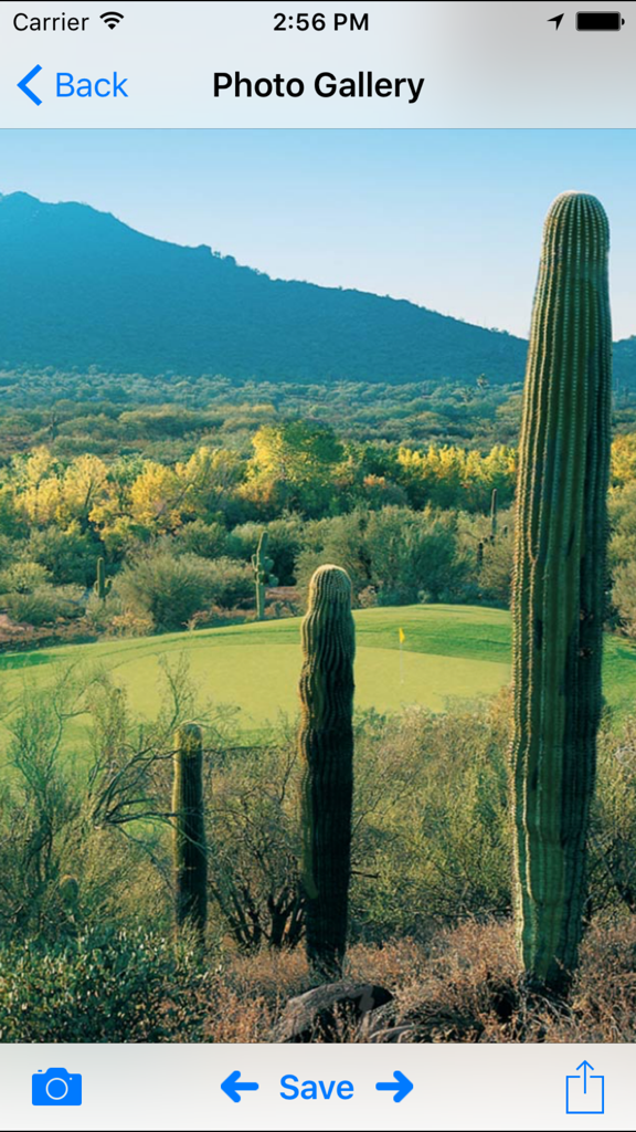 Rancho Mañana Golf Club - Scenic view of Rancho Manana golf course with Saguaro cacti and mountains