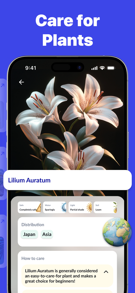 AI Scanner app screen showing detailed care instructions and identification for a Lilium Auratum lily.