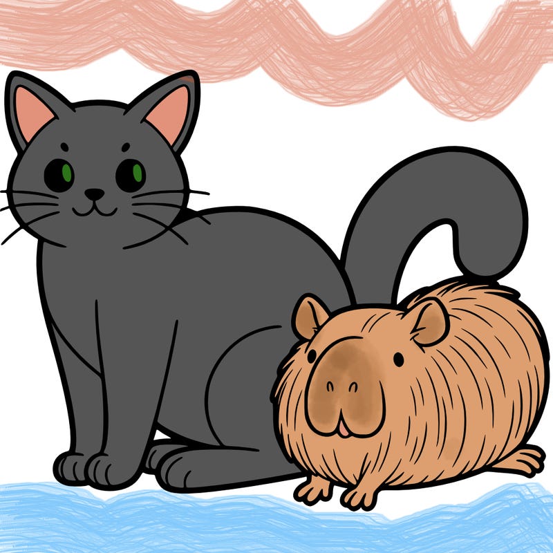 cat with capybara
