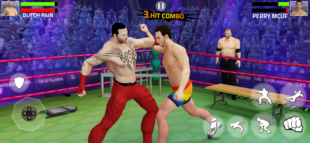 Action gameplay of two 3D wrestlers fighting in a ring with hit combo and health bars