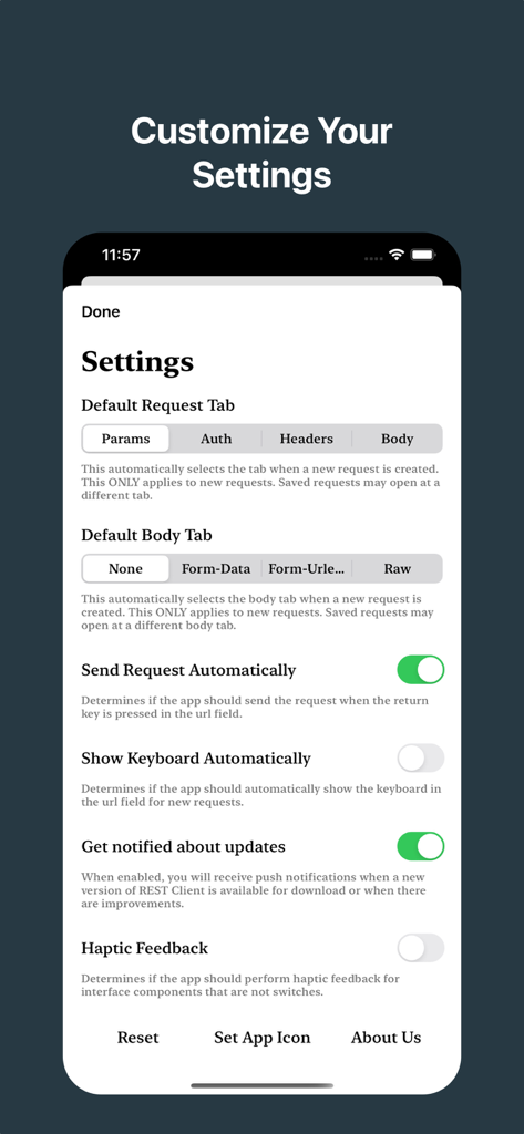 HTTPリクエストとインターフェースの動作のカスタマイズオプションが表示されたREST API Clientアプリの設定画面
