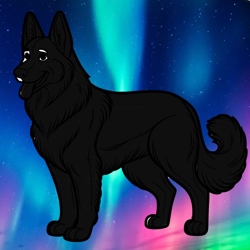 german shepherd