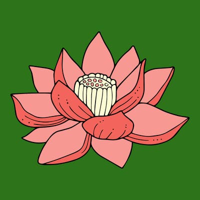 flowers_08