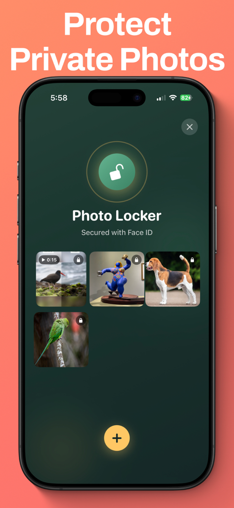 Tidy Cam - Swipe Delete Photos - Tidy Cam app Photo Locker interface secured with Face ID