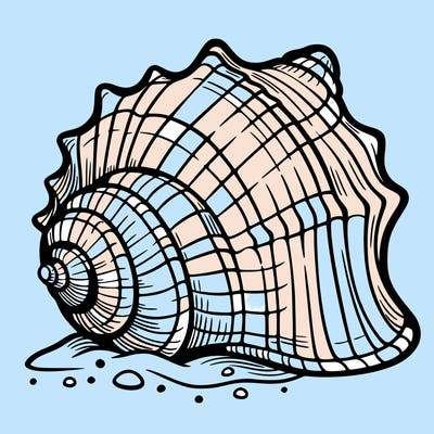 sea shell