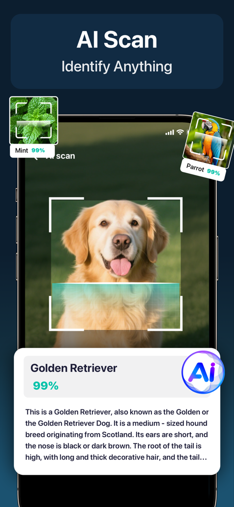 A smartphone screen using AI to identify a Golden Retriever dog with a high accuracy rating alongside animal and plant scan icons