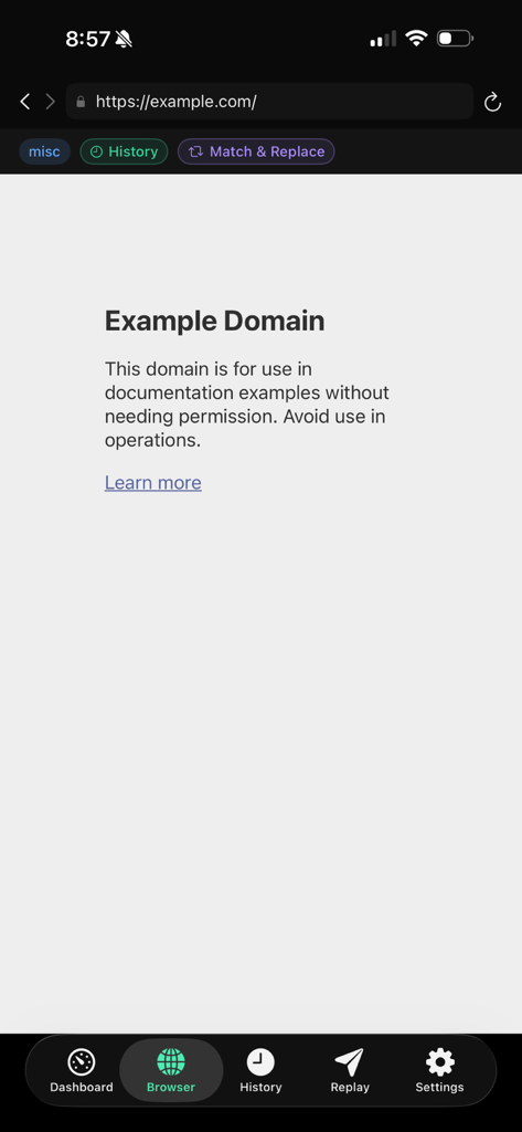 Mitmo - Mitmo app browser tab showing example dot com for web traffic inspection