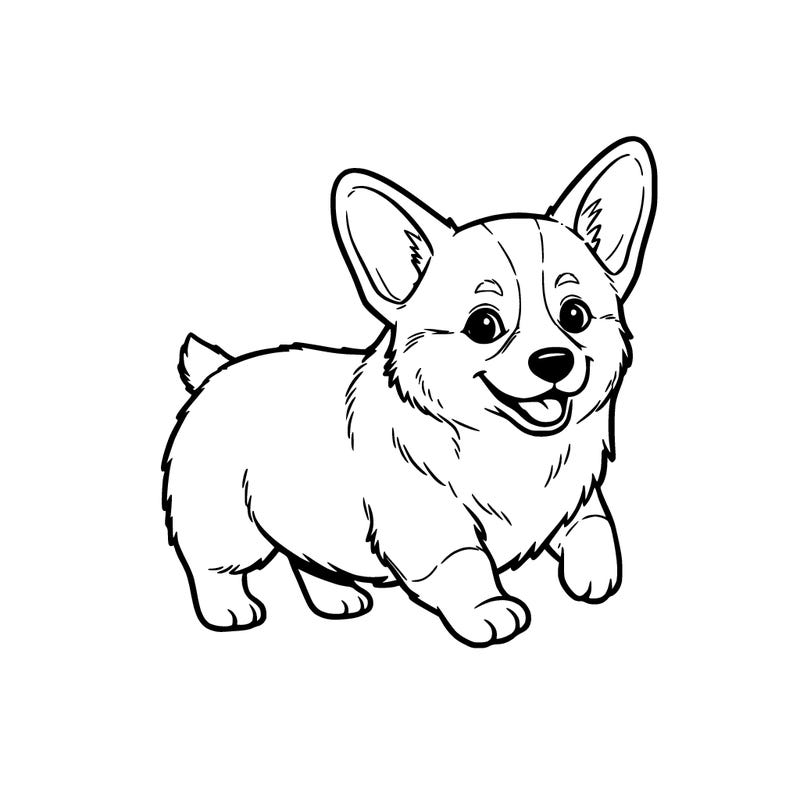 the cutest little corgi