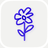 one year: daily journal