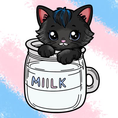 kitten in a milk jug
