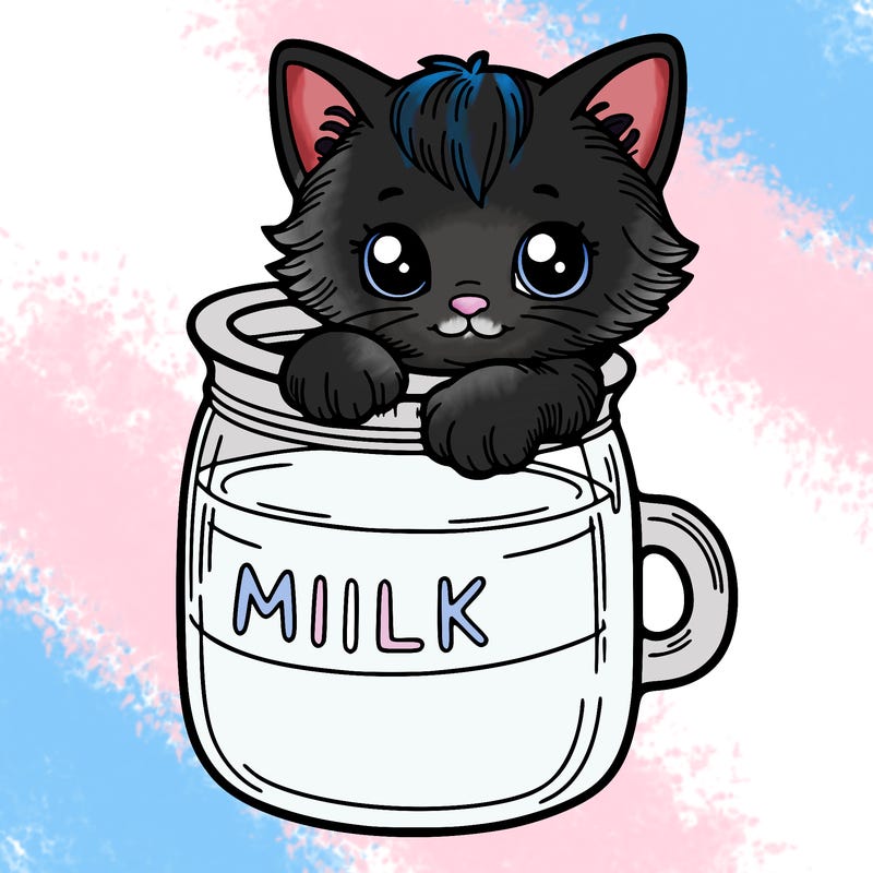 kitten in a milk jug