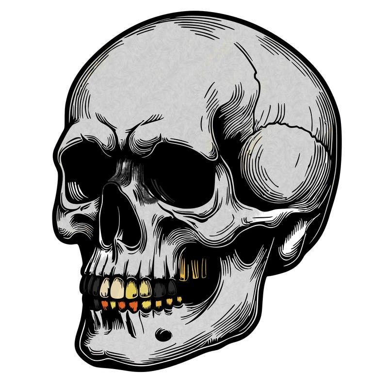 realistic skull