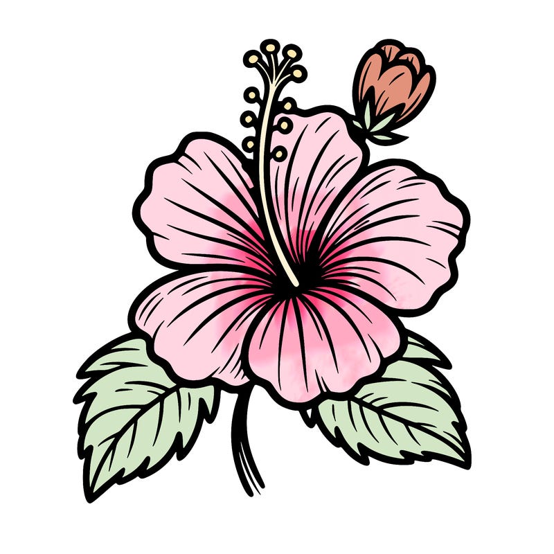 hibiscus flower