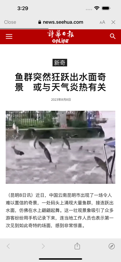 See Hua Online - See Hua Online mobile application displaying a Chinese language news article with a picture of fish jumping