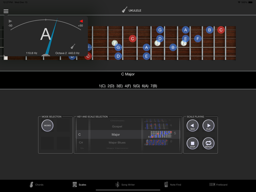 StringMaster Uke - StringMaster Uke app interface displaying ukulele scales and a chromatic tuner on iPad