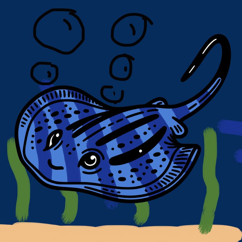 stingray