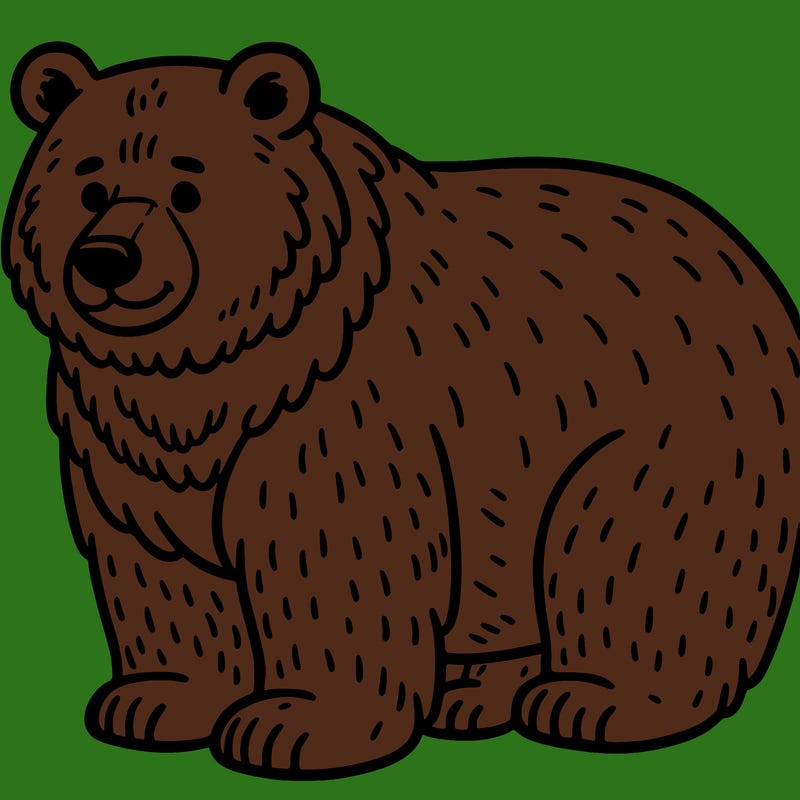 bear