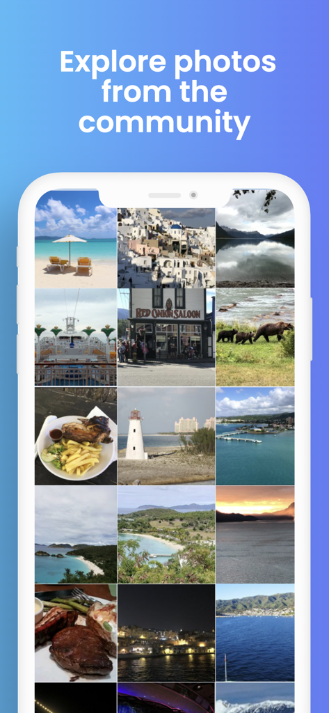 User shared cruise and travel photos gallery in Shipmate app