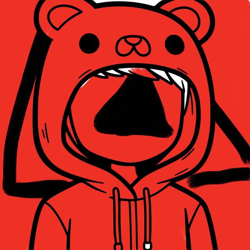 person in animal hoodie