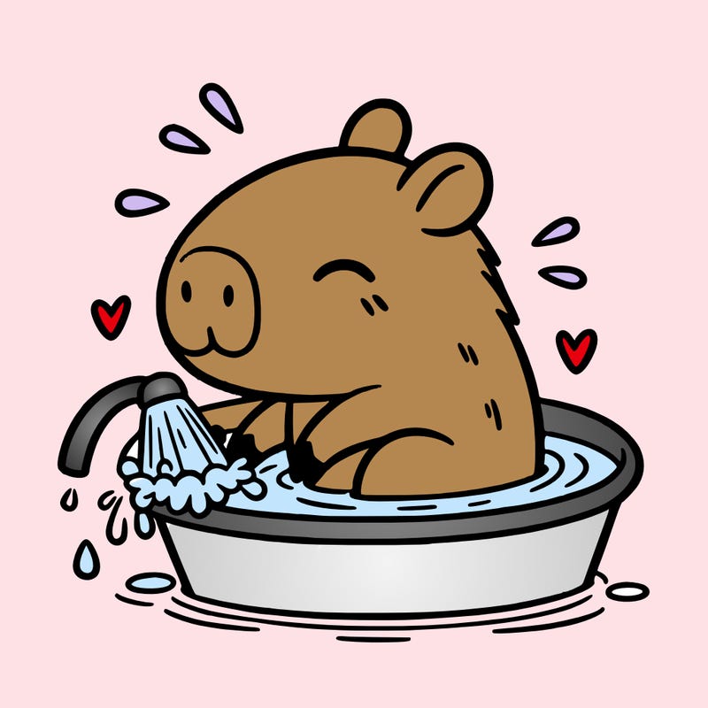 capybara taking a bath