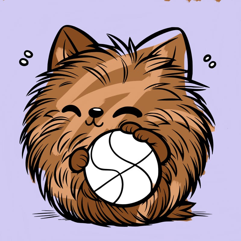 fur ball