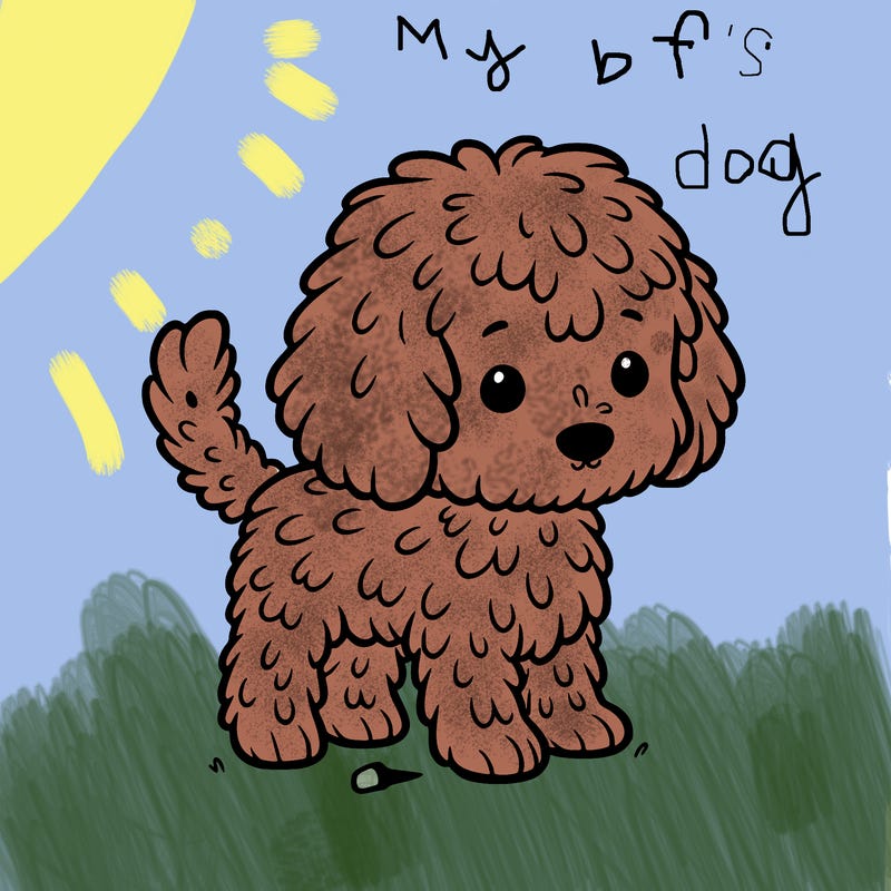 a picture of a golden doodle thats small and named coco also really detailed fur
