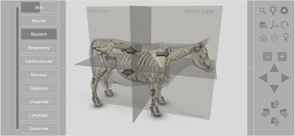 Aplicativo de anatomia bovina 3D mostrando um modelo de esqueleto de vaca com planos anatômicos e menus de sistemas interativos