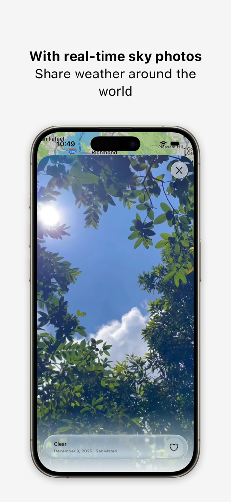 Your Weather. - Ein Smartphone zeigt ein geteiltes Foto eines klaren blauen Himmels durch Bäume in der Your Weather-App.