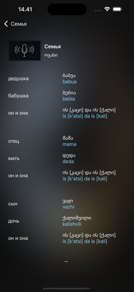 Una schermata mobile che mostra parole di vocabolario sulla famiglia georgiana con traduzioni russe e traslitterazioni fonetiche