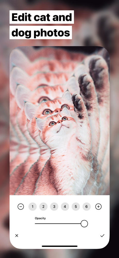 Fuzion app interface showing a cat photo edited with an artistic echo effect and opacity controls