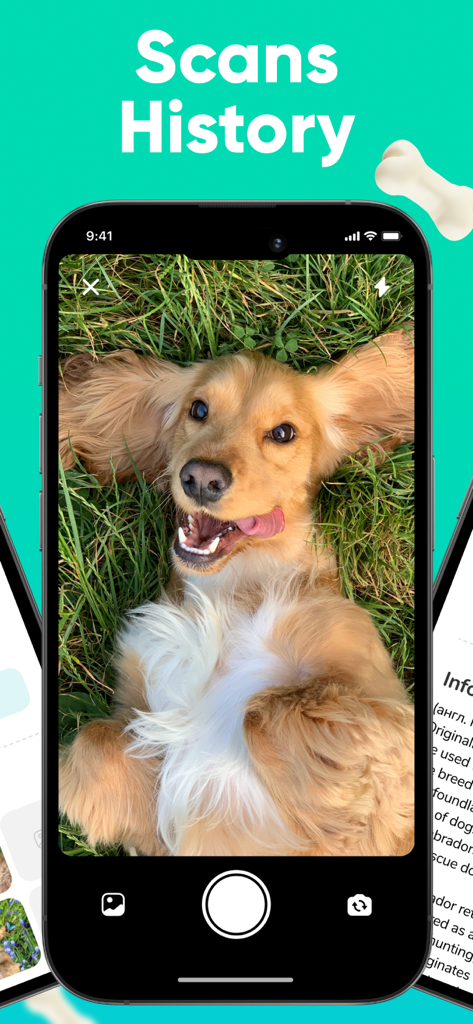 Dog Scanner - Breed Identifier - 잔디밭에 누워 있는 황금색 개의 사진과 함께 스캔 기록을 보여주는 도그 스캐너 모바일 앱 화면