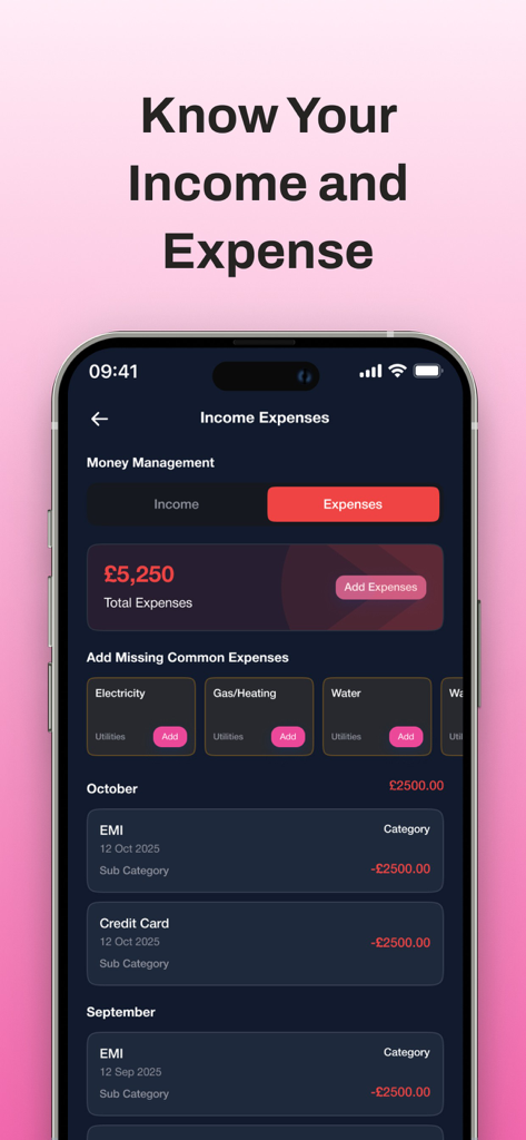 Wealth Tracker App - Wealth Tracker app interface displaying a detailed breakdown of monthly income and expenses with categorized transaction history.