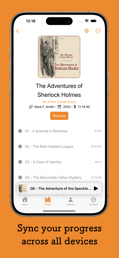 iPhone screenshot of the plappa app showing an audiobook chapter list for Sherlock Holmes with a sync progress message.