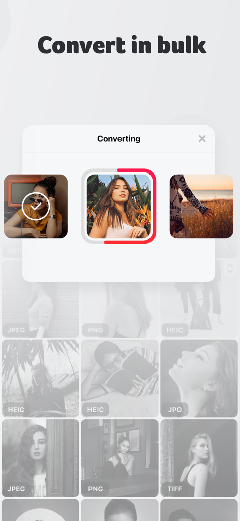 JPEGやPNGなどの複数のファイル形式のバルク画像変換を示すモバイルインターフェース。