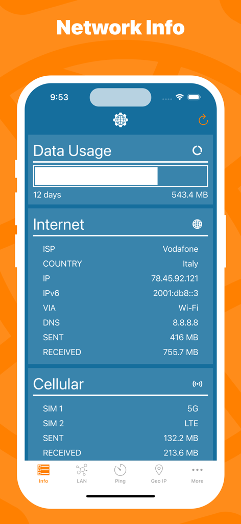 Screenshot of the Network Utility app showing internet and cellular data usage and network configuration details