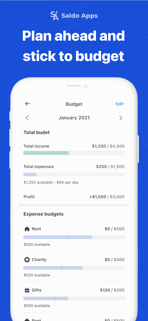 Saldo: Finance Management App - Monthly budget tracker screen showing income and expense categories in Saldo app